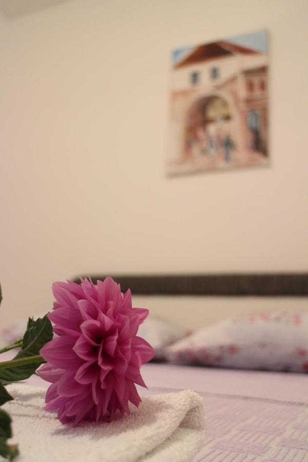 Apartman Anja Требинє Екстер'єр фото